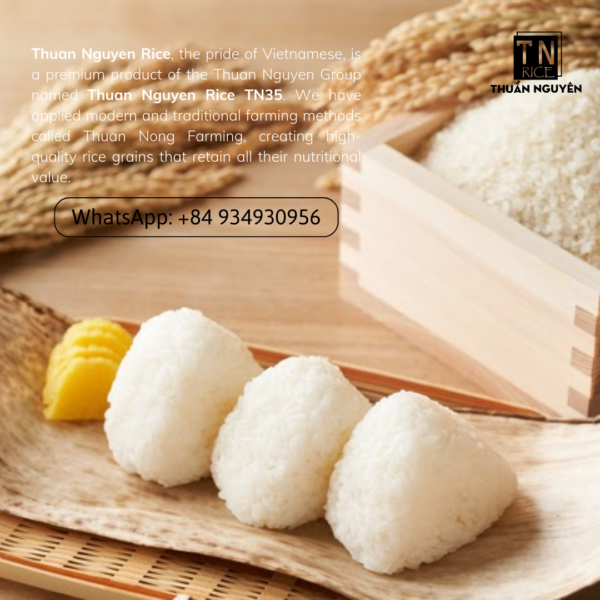 Thuan Nguyen Rice TN30: exquisite, tender grains, captivating aroma, enriched with Selenium for cancer prevention & immune-boosting minerals Whatsapp (84) 0934930956