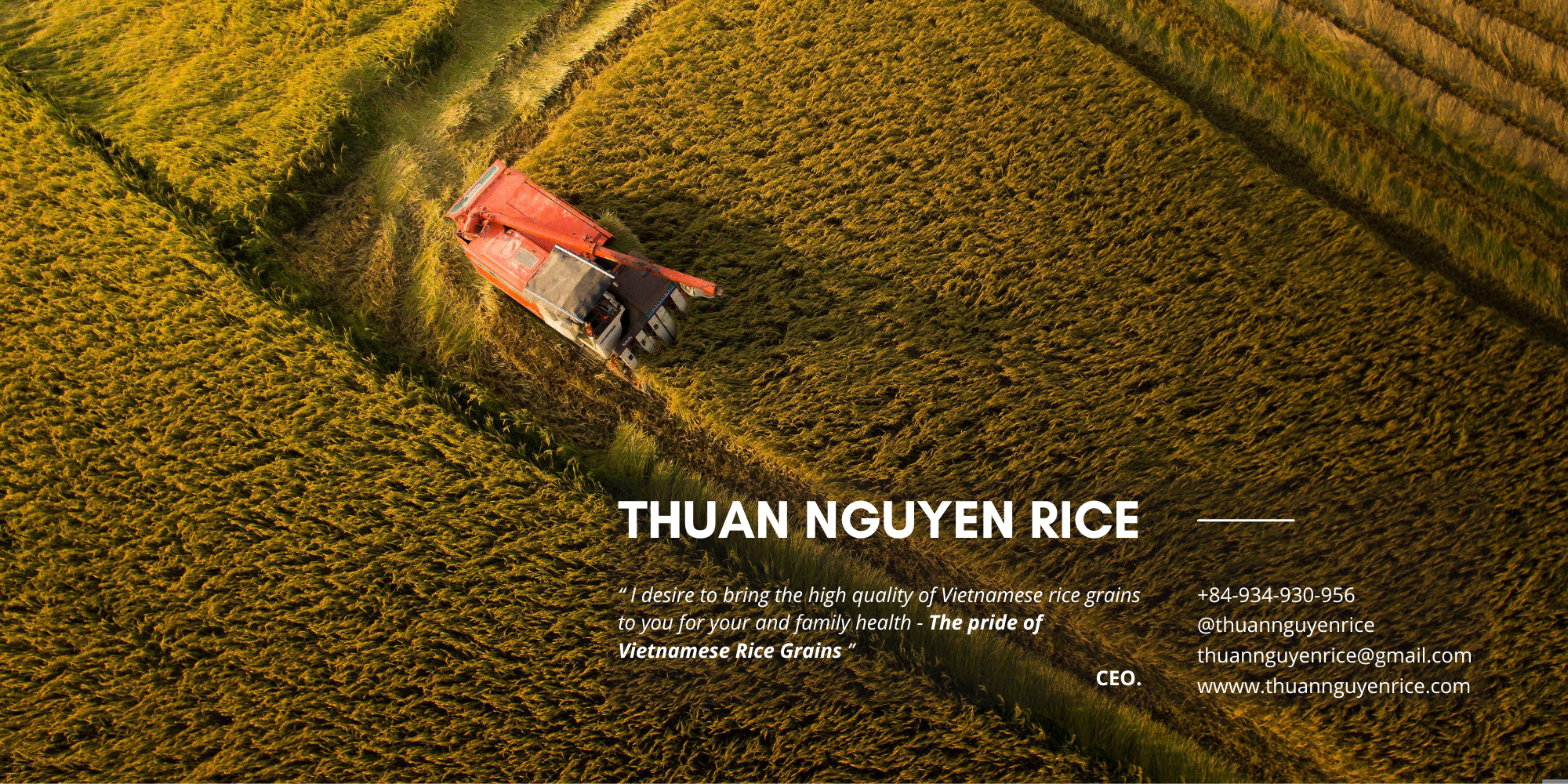 Challenges and Innovations in Rice Farming