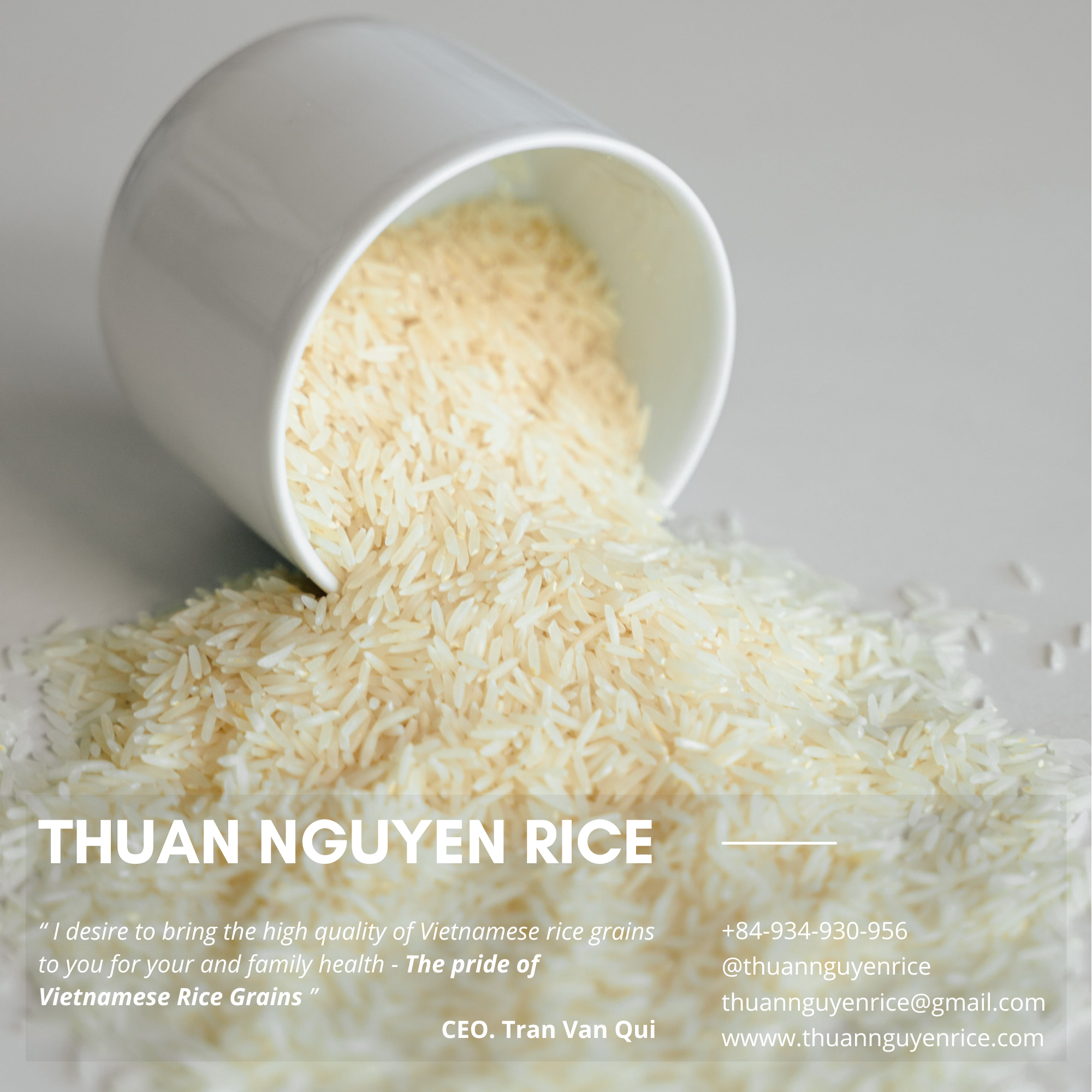 thuannguyenrice.com
Challenges and Innovations in Rice Farming
