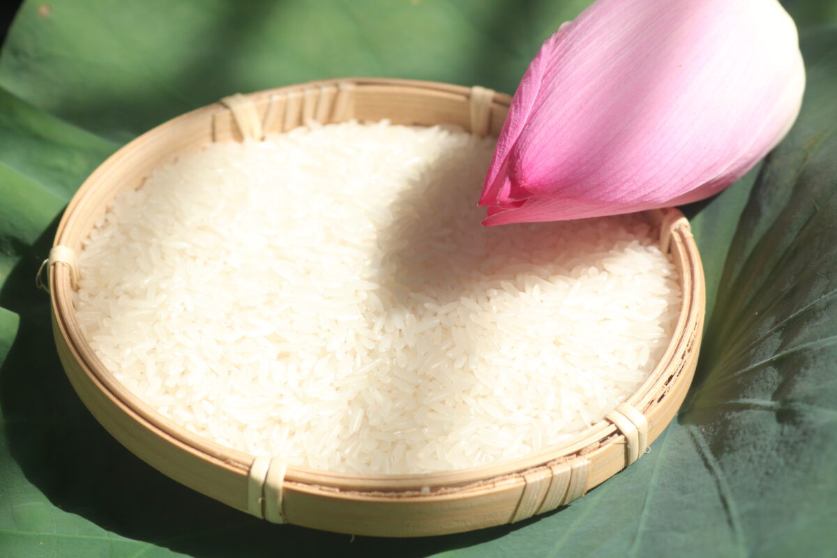 VIETNAMESE FRAGRANT RICE - ST25 RICE - 5% BROKEN - 100% VIETNAM STANDARD RICE